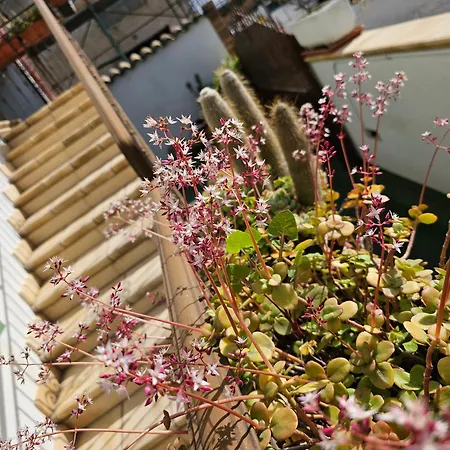 アパート Casa Serena Serdiana