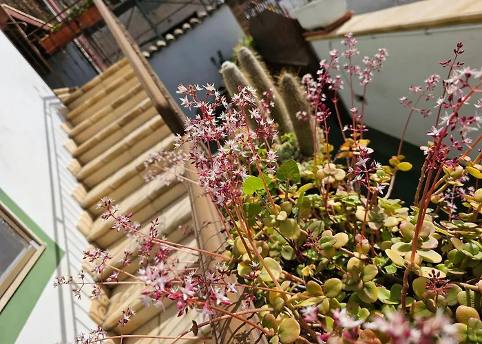 公寓 Casa Serena Serdiana